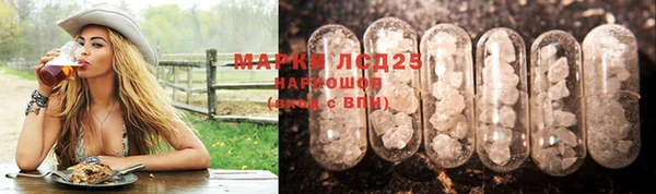 ECSTASY Пересвет