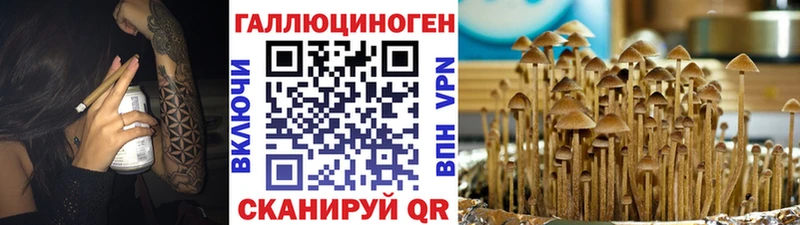 Псилоцибиновые грибы Magic Shrooms  где продают   Бодайбо 